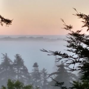 Meet your Posher, Carolyn